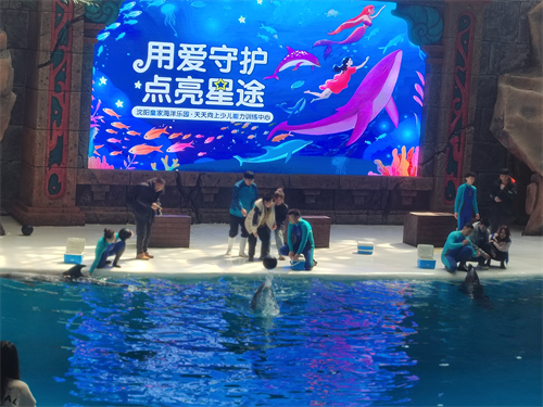 图片56.png